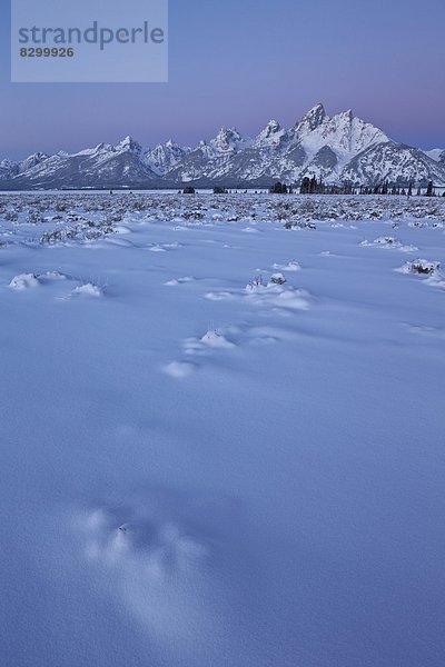 Vereinigte Staaten von Amerika  USA  Frische  Morgendämmerung  Nordamerika  Schnee  Wyoming