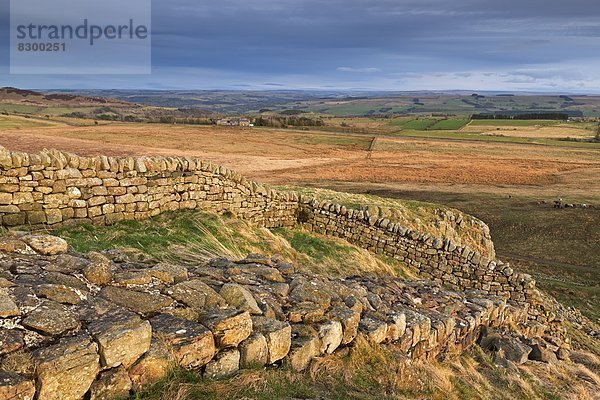 Europa  Großbritannien  hoch  oben  UNESCO-Welterbe  Felsen  England  Northumberland  Stahl