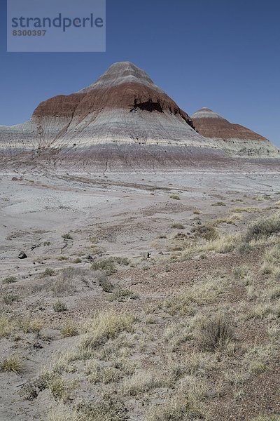 Vereinigte Staaten von Amerika  USA  Nordamerika  Arizona  glatt  Bentonit  Sedimentgestein  Lehm