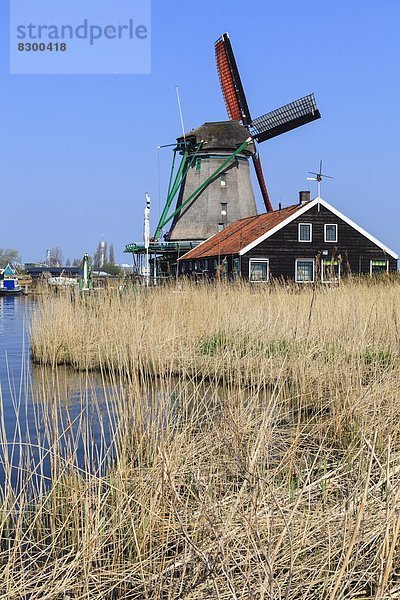 Windturbine  Windrad  Windräder  Attraktivität  arbeiten  Gebäude  Tourist  Geschichte  Fluss  Museum  Dorf  aufheben  Niederlande