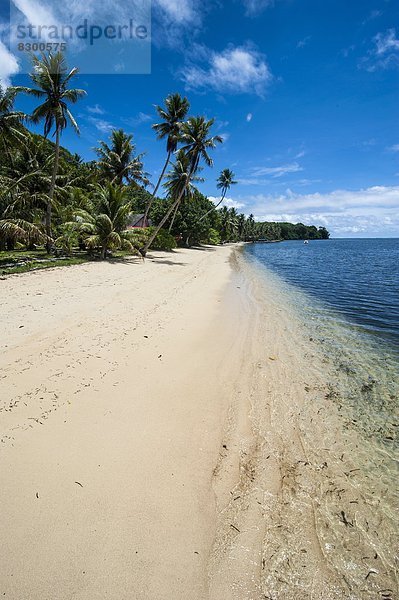 Schönheit  Strand  Baum  weiß  Sand  Insel  Pazifischer Ozean  Pazifik  Stiller Ozean  Großer Ozean  Karolinen
