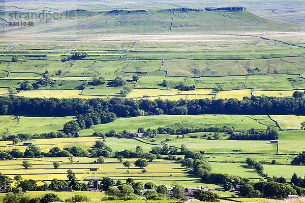 Europa  Großbritannien  Hügel  Fernverkehrsstraße  Yorkshire and the Humber  flach  England  Moor  Wensleydale