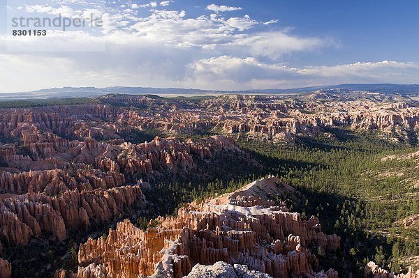 Vereinigte Staaten von Amerika  USA  Nordamerika  Bryce Canyon Nationalpark  Utah