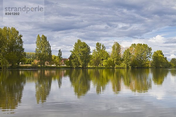 Frankreich  Europa  Baum  Spiegelung  Fluss  Dordogne