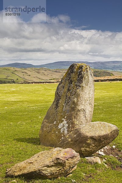 Jungsteinzeit  Neolithikum  Spätsteinzeit  Europa  Stein  Großbritannien  Kreis  Cumbria  England