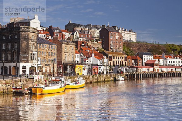 Europa  Großbritannien  Küste  Stadt  Yorkshire and the Humber  Moor  England  Norden  Whitby