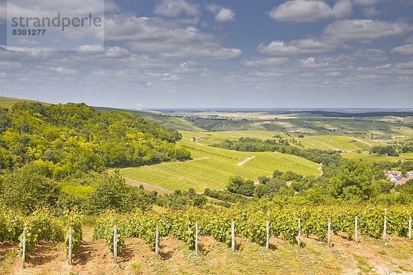 nahe  Frankreich  Europa  Wein  Tal  Wahrzeichen  Weinberg  Zimmer  Loire