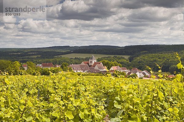 Frankreich  Europa  über  Dorf  Weinberg  Zimmer  Aube  Champagner