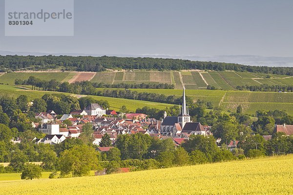 Frankreich  Europa  Dorf  Zimmer  Champagner