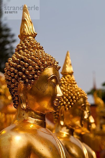 Buddhastatuen im Wat Phra That Doi Suthep  Chiang Mai  Thailand  Asien