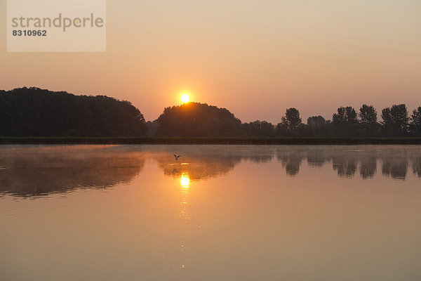 Sonnenaufgang über einer Teichlandschaft