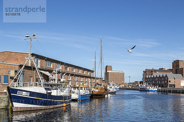 Harbour view