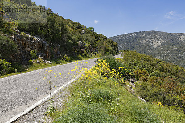 Landstraße nach Termessos