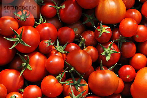 Reife Tomaten (Solanum lycopersicum)