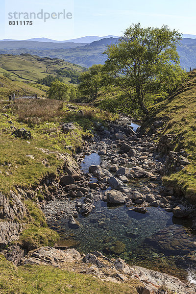 Gebirgsbach am Honister Pass im Borrowdale