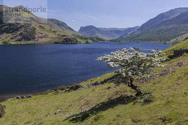 Der See Crummock Water