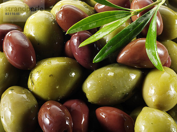 Gemischte grüne Oliven und Kalamata-Oliven