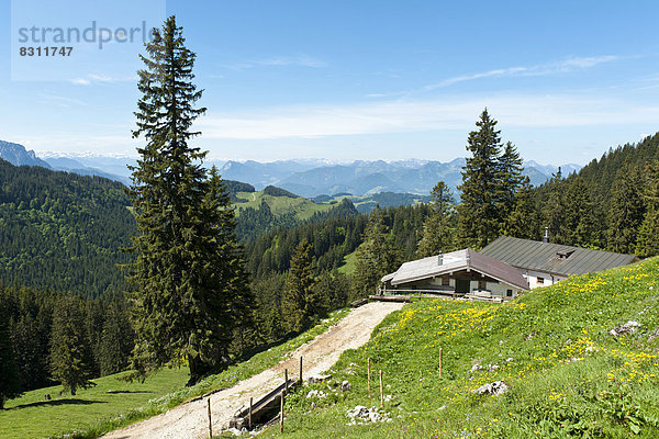 Hütte auf der Schreck-Alm