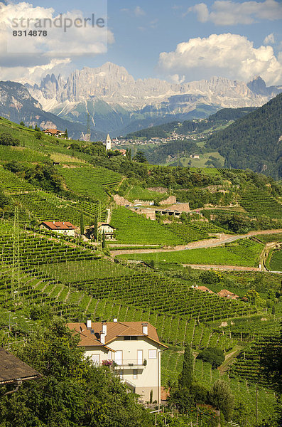 Berg Gebäude frontal Weinberg Dolomiten Gebirgskamm