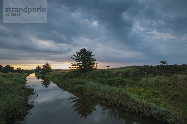 Morgenstimmung über dem Fluss Henne Mølle Å