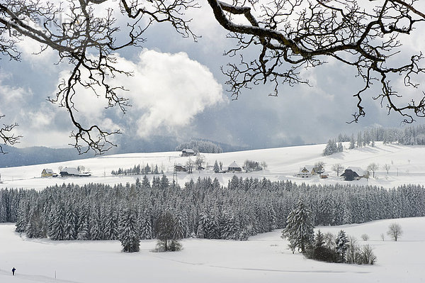 Schneedecke Winter Landschaft