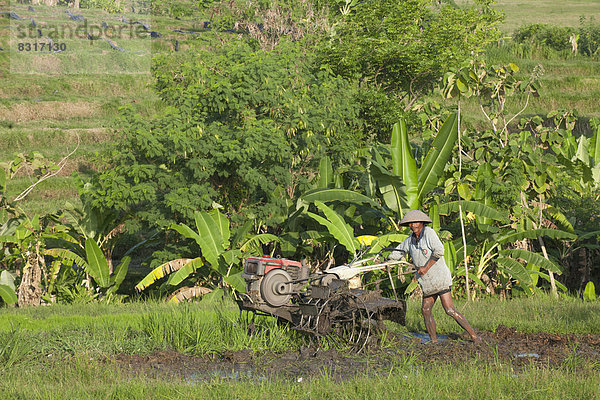 Reisbauer bei der Arbeit in den Reisterrassen