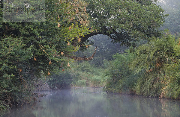 Flusslandschaft im südlichen Krüger-Nationalpark