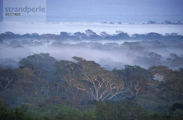 Landschaft im südlichen Kruger National Park