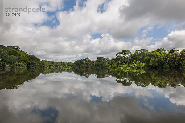 Das Tiwai Island Wildlife Sanctuary auf einer Insel im Moa River