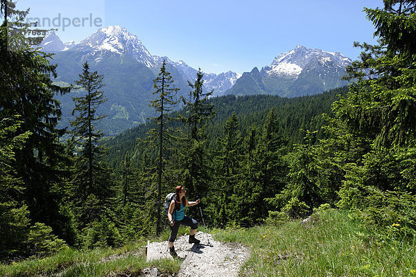 Wanderer auf dem Weg auf den Toten Mann  Hochschwarzeck  hinten der Watzmann