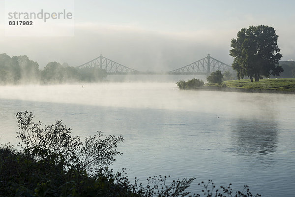 Morgennebel auf der Elbe  Blaues Wunder oder Loschwitzer Brücke hinten