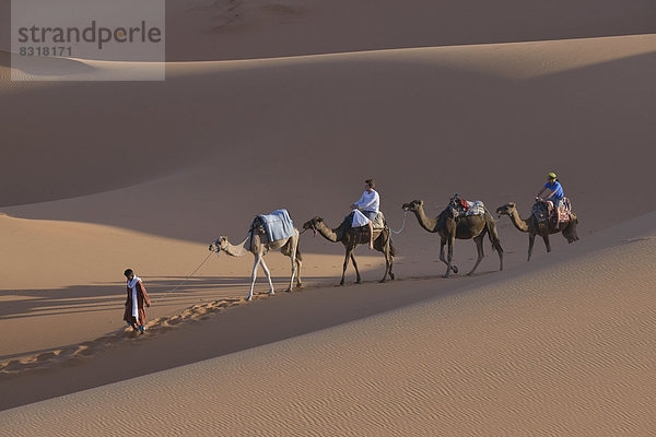 Touristen reiten auf Kamelen in den Dünen