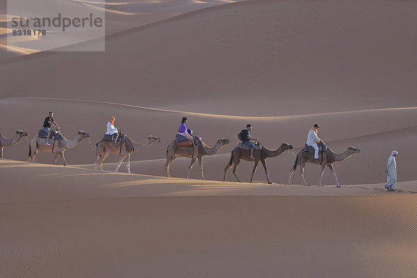 Touristen reiten auf Kamelen durch die Dünen