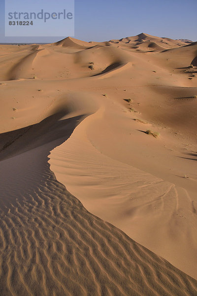 Dünen im Morgenlicht  großes Sandmeer