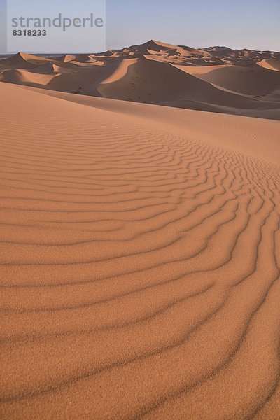 Dünen im Morgenlicht  großes Sandmeer