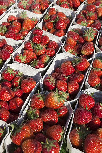 Erdbeeren an einem Marktstand