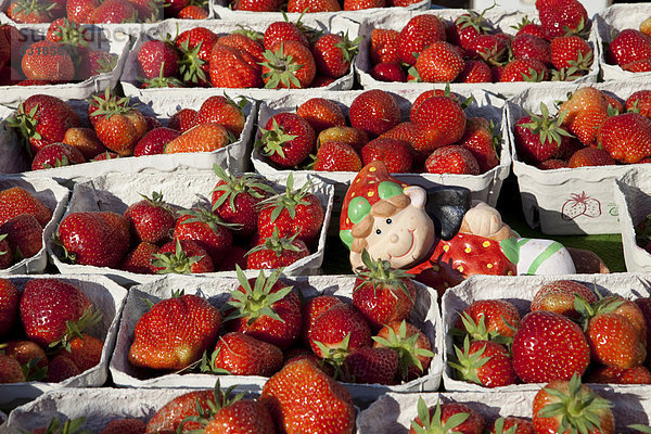 Erdbeeren an einem Marktstand