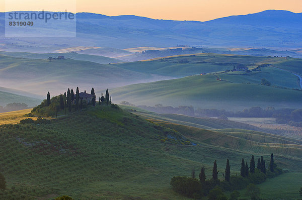 Das Belvedere  Morgennebel in der Morgendämmerung  Val d'Orcia oder Orcia Tal  UNESCO-Weltkulturerbe