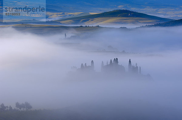 Das Belvedere  Morgennebel in der Morgendämmerung  Val d'Orcia oder Orcia Tal  UNESCO-Weltkulturerbe