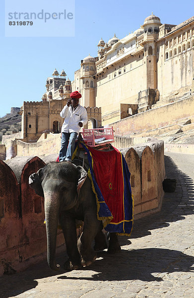 Mahut steht auf seinem Elefanten und telefoniert mit dem Handy  hinten das Fort Amber