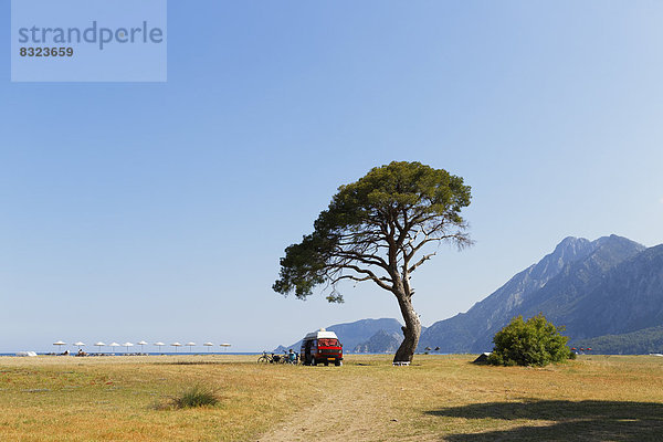 Strand von Olympos  VW-Bus unter Kiefer