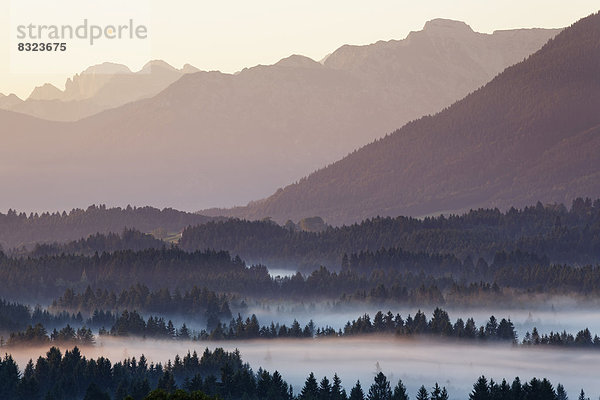 Landschaft im Alpenvorland  Morgenstimmung mit Nebel