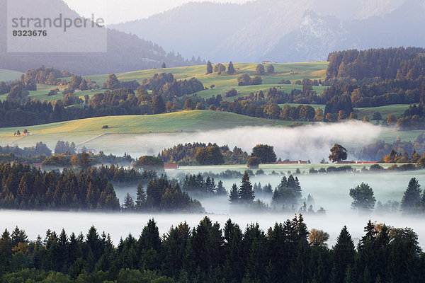 Landschaft im Alpenvorland  Morgenstimmung mit Nebel