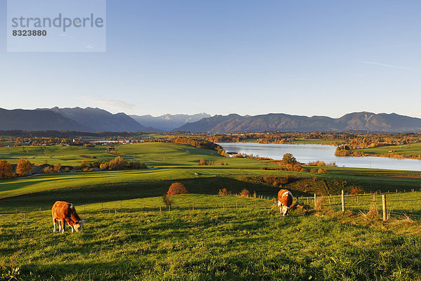 Riegsee  Ausblick von Aidlinger Höhe  Alpenvorland