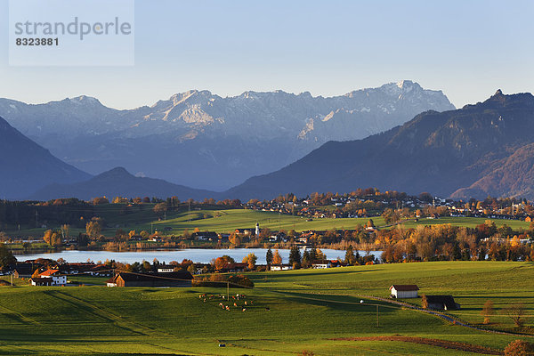 Herbstmorgen im Alpenvorland  Ausblick von Aidlinger Höhe über Riegsee  Froschhausen  Murnau und Wettersteingebirge mit Zugspitze