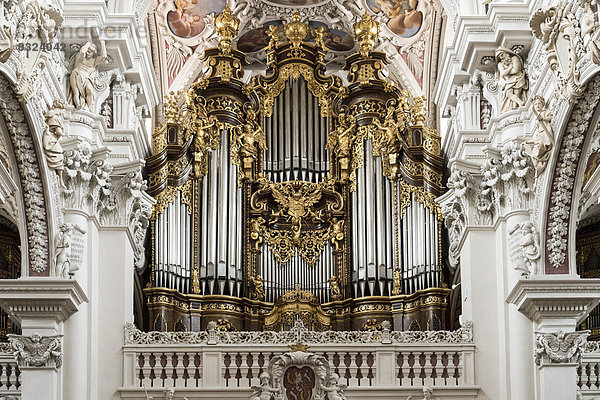 Orgel  Dom St. Stephan