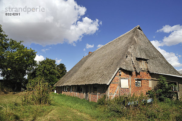 Dach niedrig Bauernhaus Reetdach alt