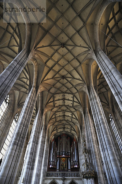 Deckengewölbe und Orgelempore der spätgotischen dreischiffigen Hallenkirche vom Münster St. Georg  1499 beendet