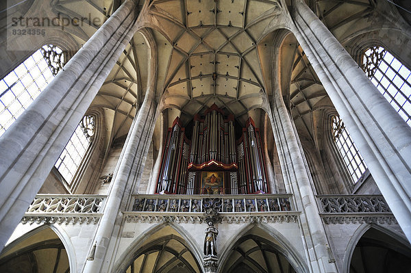 Rieger-Orgel  1997 fertiggestellt  und Deckengewölbe der spätgotischen dreischiffigen Hallenkirche vom Münster St. Georg  1499 beendet