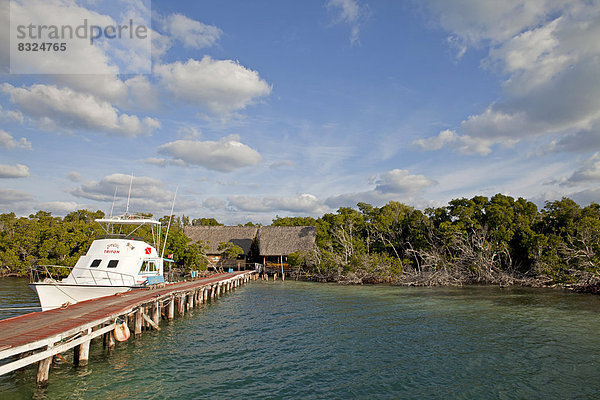 Anleger und Pier